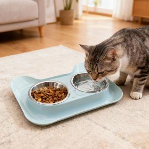 Double-bowl integrated pet feeding set