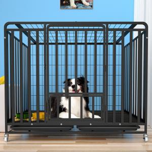 Four-sided wire cage for dogs