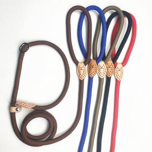 Pet leash to prevent sudden pulling